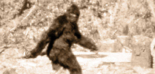 still frame from the infamous Patterson film