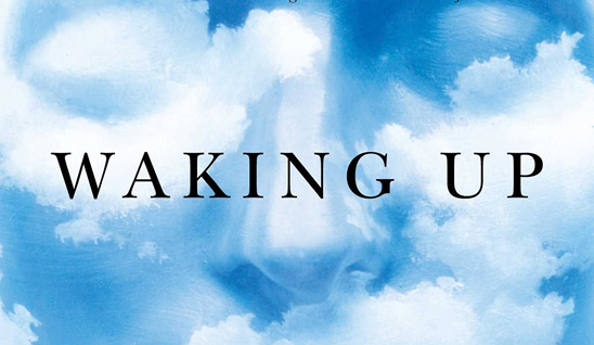 Waking Up (detail of book cover being reviewed)
