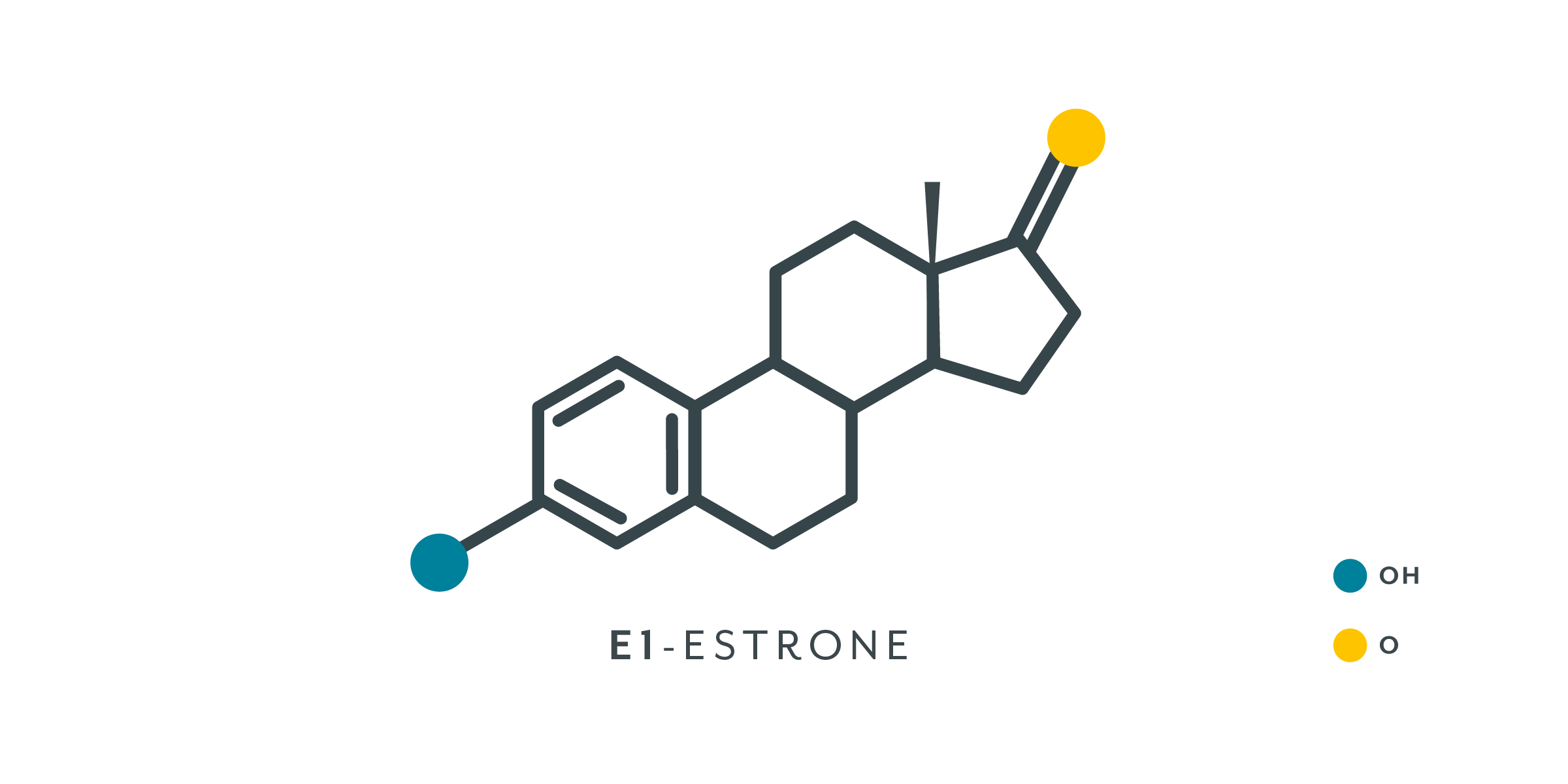 estrogen illustration by Marta Pucci (Source: https://helloclue.com/articles/cycle-a-z/estrogen-101)