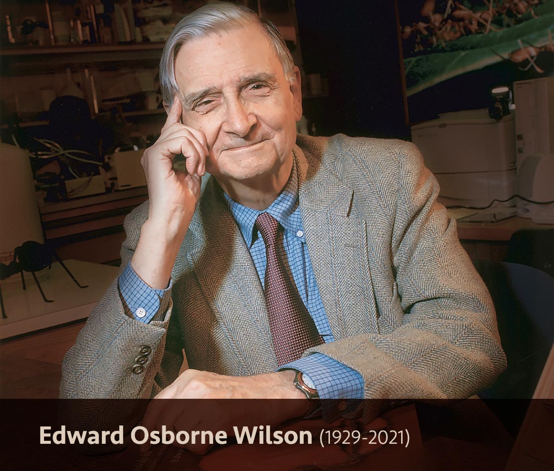 Edward O. Wilson in 2003. Photo by Jim Harrison, CC BY 2.5, via Wikimedia Commons