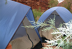 Grand Canyon River Rafting Tour (photo)
