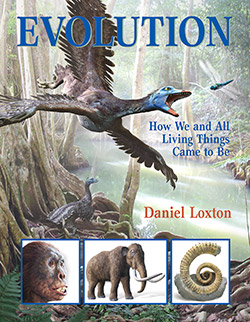 Evolution cover