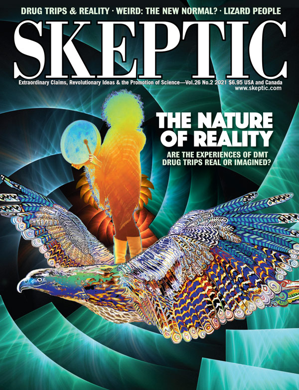 Skeptic 26.2 (cover)