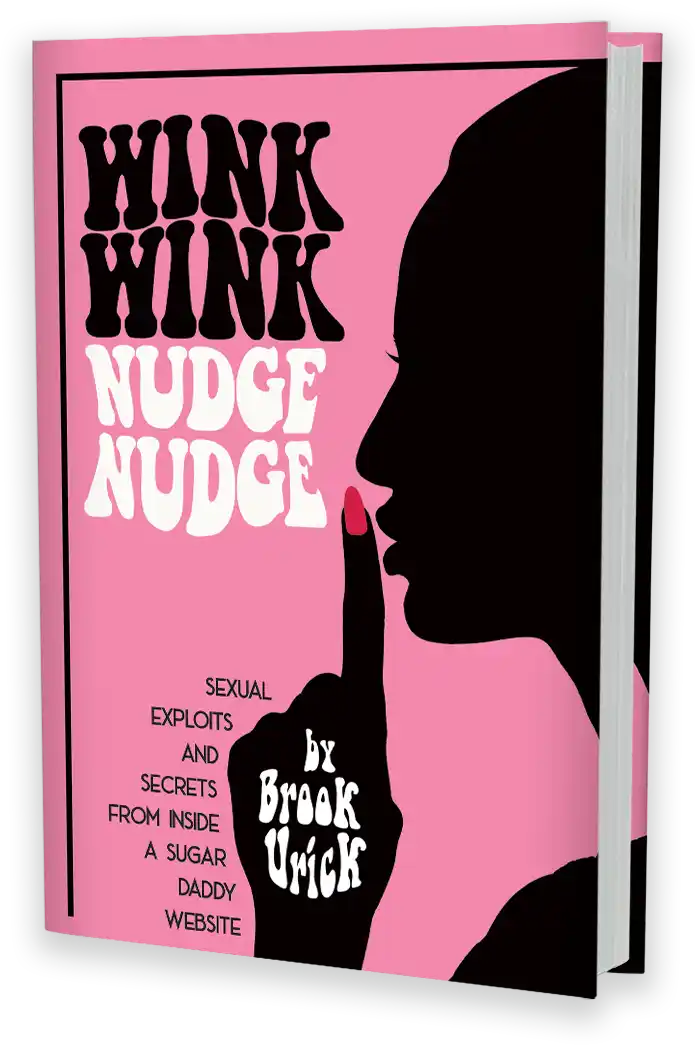 Wink Wink Nudge Nudge: Sexual Exploits and Secrets from Inside a Sugar Daddy Website (book cover)