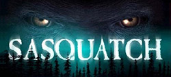 detail of DVD cover