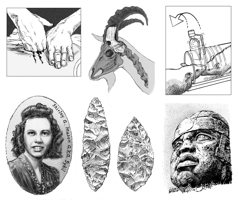 Illustrating for Clarity