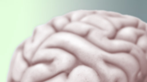brain-myth
