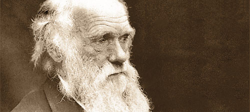 Darwin